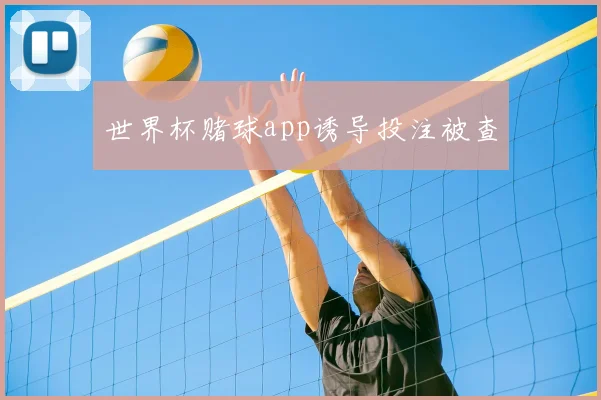 世界杯赌球app诱导投注被查