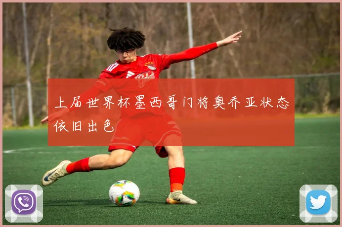 上届世界杯墨西哥门将奥乔亚状态依旧出色