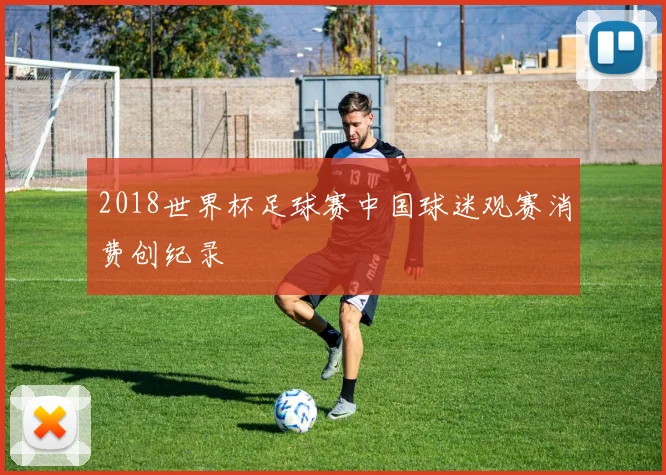 2018世界杯足球赛中国球迷观赛消费创纪录