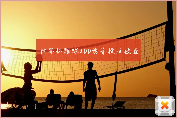 世界杯赌球app诱导投注被查