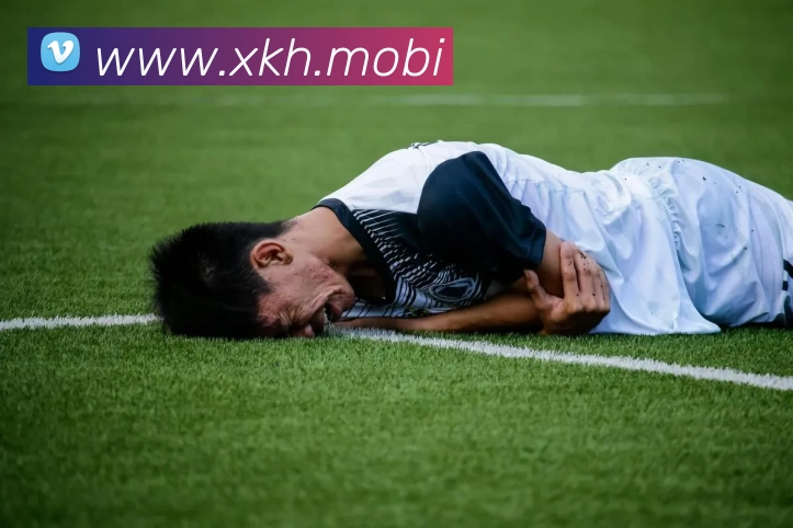 「开云中国官方网站」Kaiyun·登录入口 - 科技集团服务体系